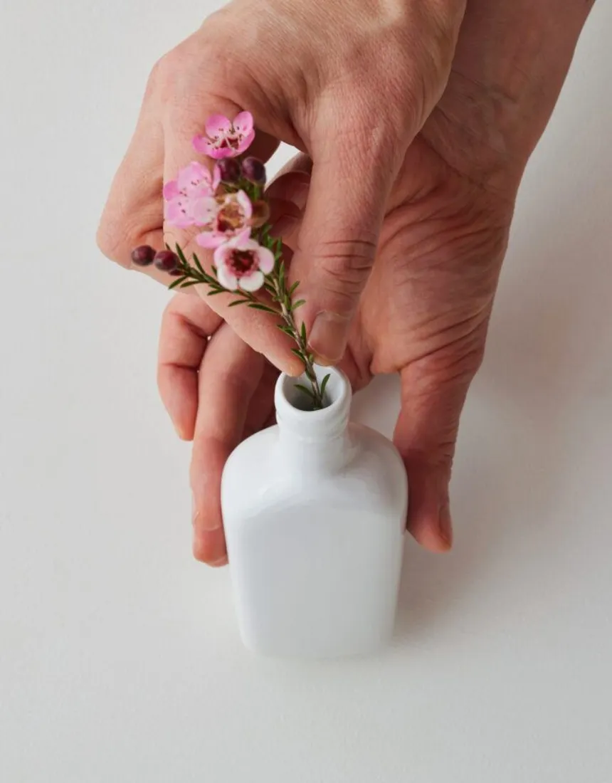 Botanic Bottle Hakea