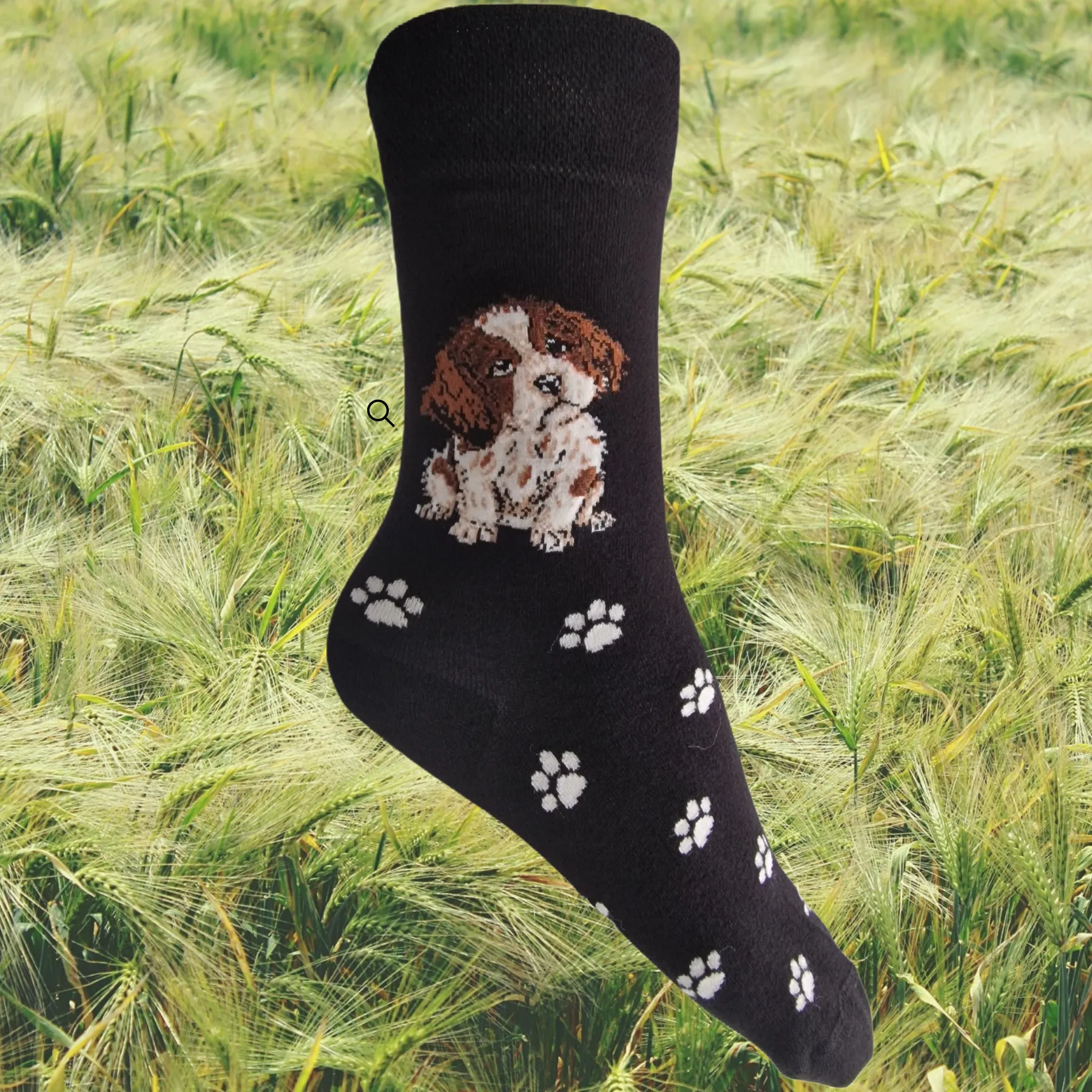 Hazy Blue Womens Dog Socks Bamboo Blend Size 4 to 8