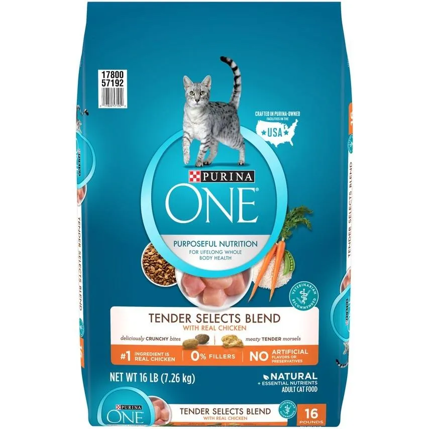 Purina ONE Tender Selects Blend Real Chicken Dry Cat Food