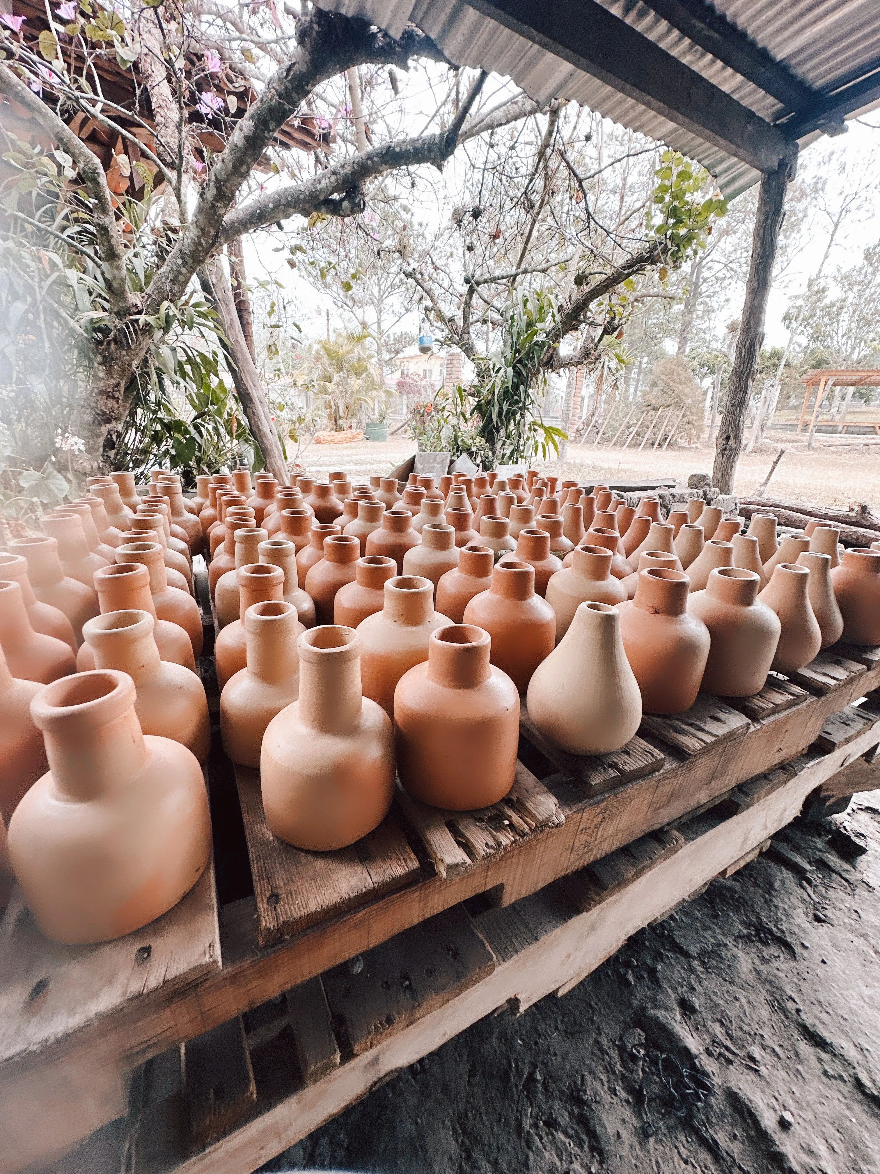 Terracotta Vases